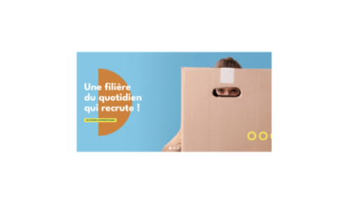   L'industrie papier carton - Promotion de l'emploi et de la formation