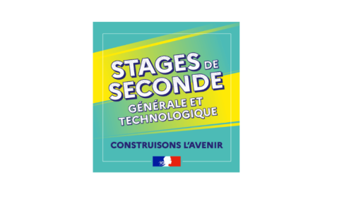 Stage de seconde